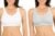 Fruit of the Loom Women’s 2-Pack Shirred Front Sport Bra – Removable Pads for Customizable Support